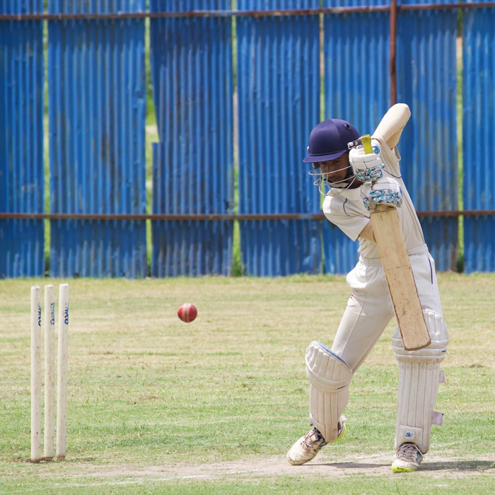 Cricket is a popular sport that people of all ages enjoy.