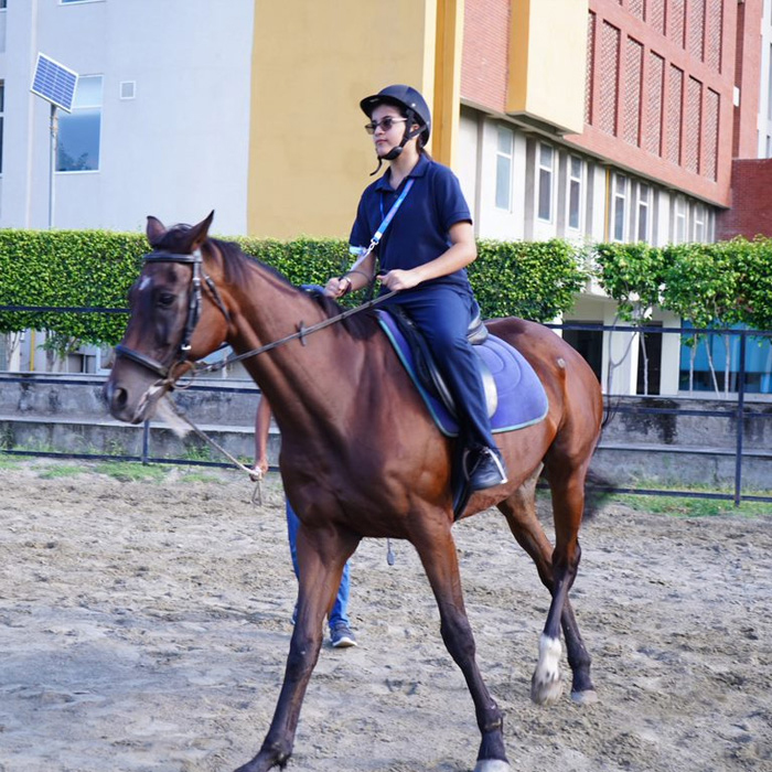 We have a stable, well-groomed horses and specialised personnel to manage and maintain our equestrian arena.